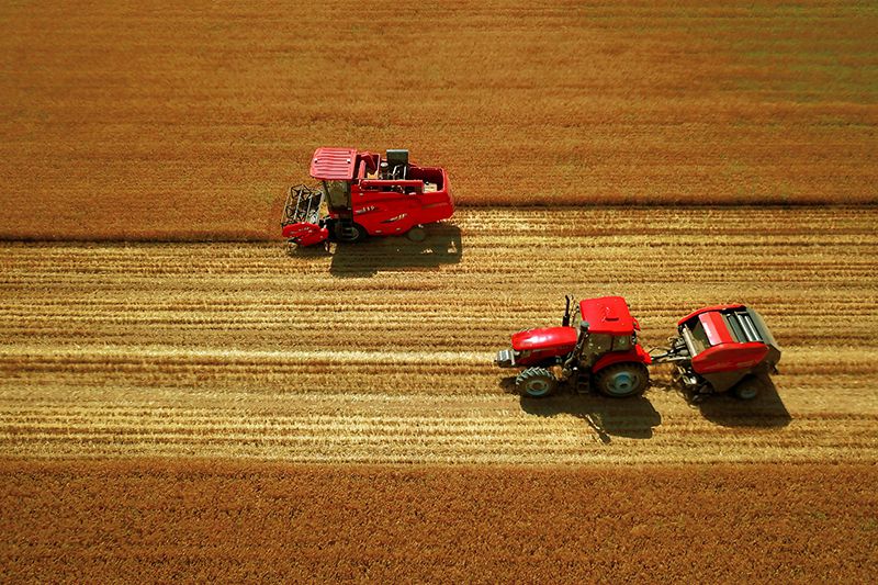 Outdoor operation of YTO's tractors