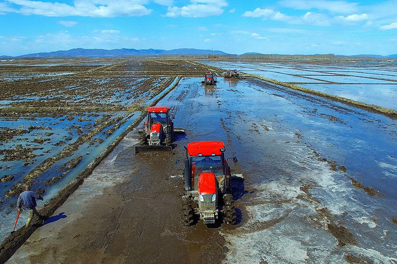 Outdoor operation of YTO's tractors