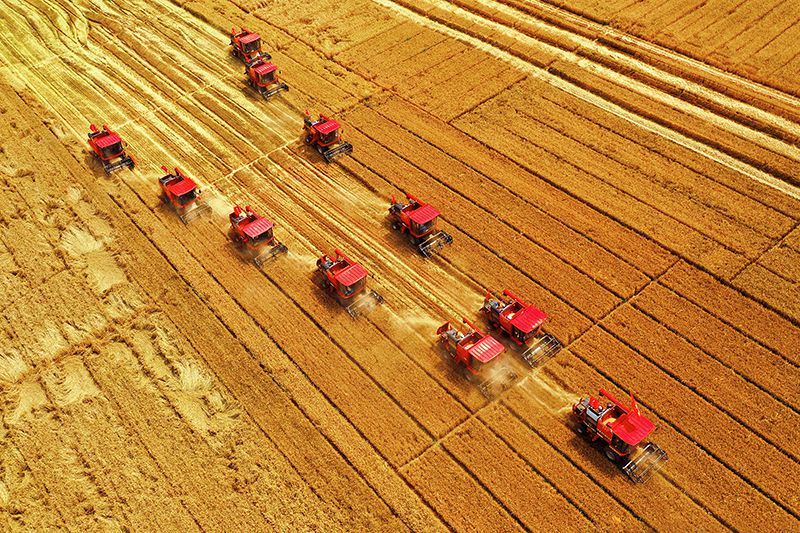 Outdoor operation of YTO's tractors