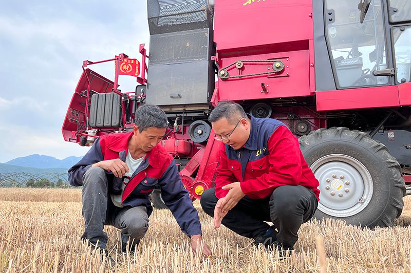 Outdoor operation of YTO's tractors